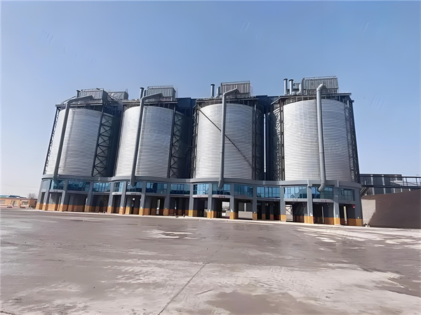 1725442341472002.jpg 0510df48-c33b-4c80-86ed-e8d7d7a7d5ab.jpg